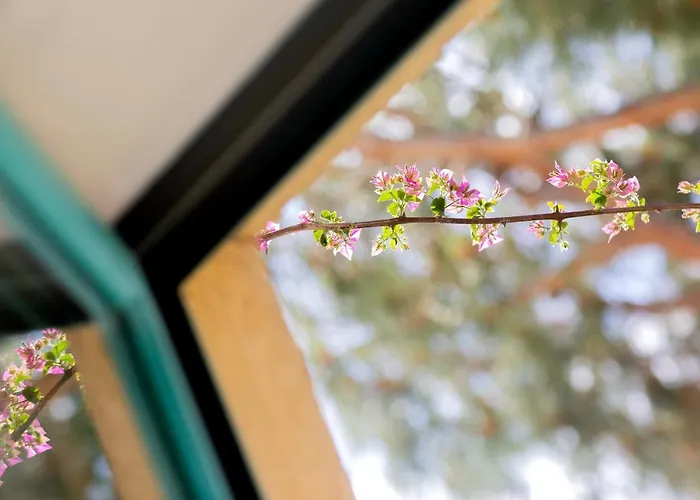 Szálloda Casa Santini X Roc Seven 4*